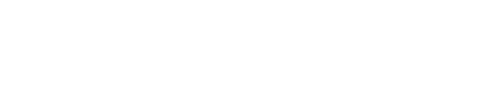 Birdwatching Morocco Tours